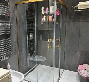 Ganzglasdusche (16)