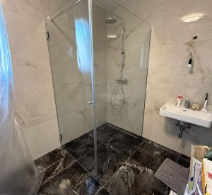 Ganzglasdusche (5)