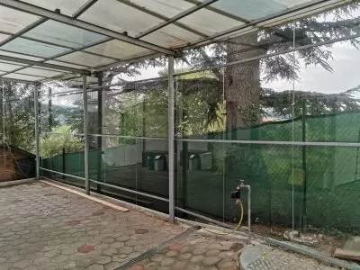 Windschutz aus Glas (2)